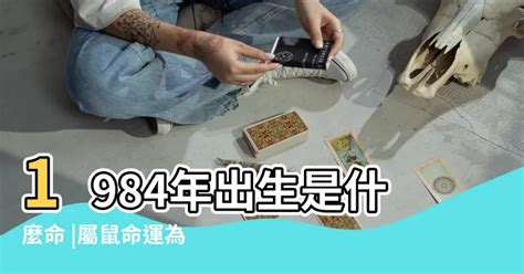 84屬什麼